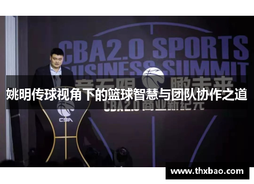 姚明传球视角下的篮球智慧与团队协作之道