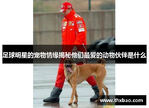 足球明星的宠物情缘揭秘他们最爱的动物伙伴是什么